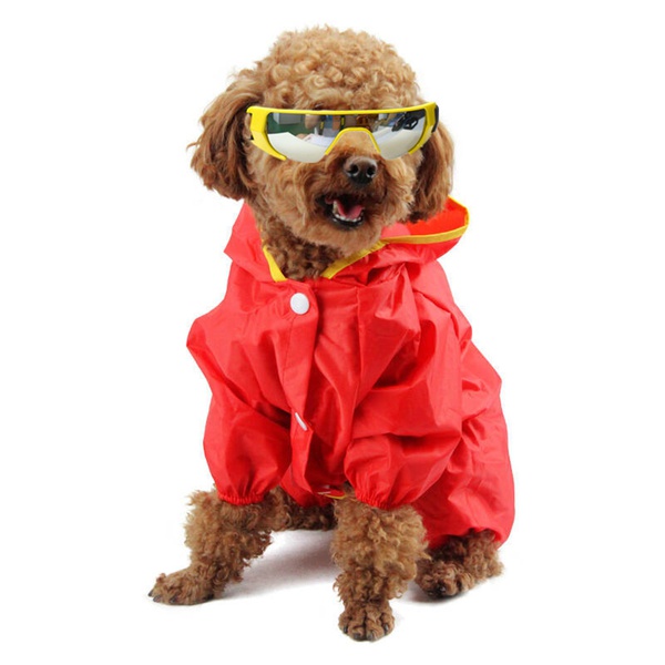Sunglasses for Dog